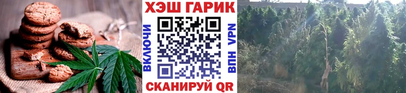 OMG онион  Берёзовка  Печенье с ТГК марихуана  закладка 