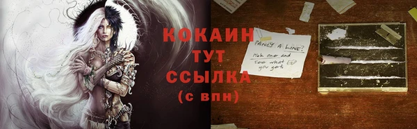 стафф Новозыбков