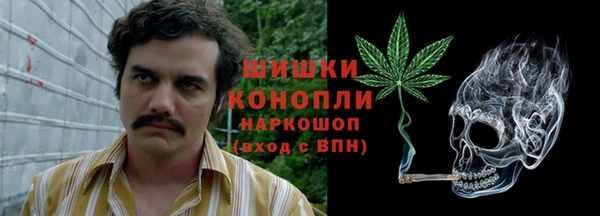 мдма Новодвинск