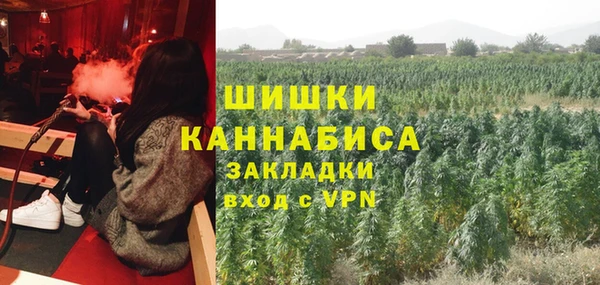 мдма Новодвинск