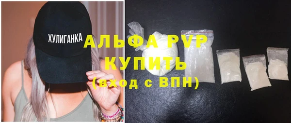 стафф Новозыбков