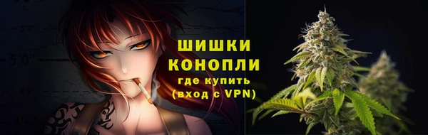 стафф Новозыбков