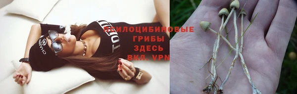 ALPHA PVP Новокубанск