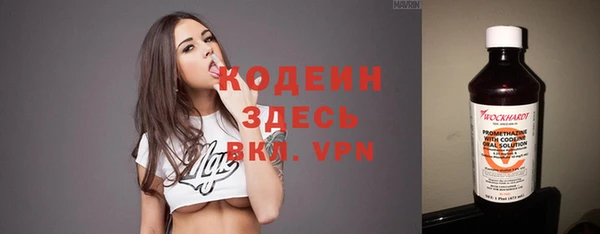 стафф Новозыбков