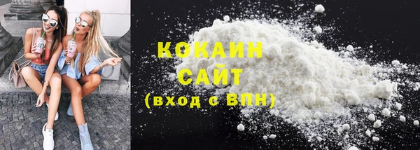 стафф Новозыбков