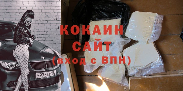 стафф Новозыбков