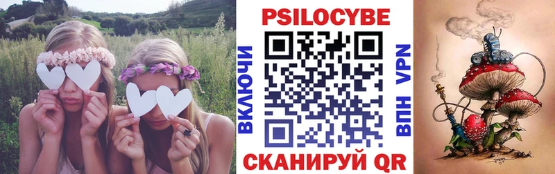 купить   Берёзовка  Галлюциногенные грибы мухоморы 